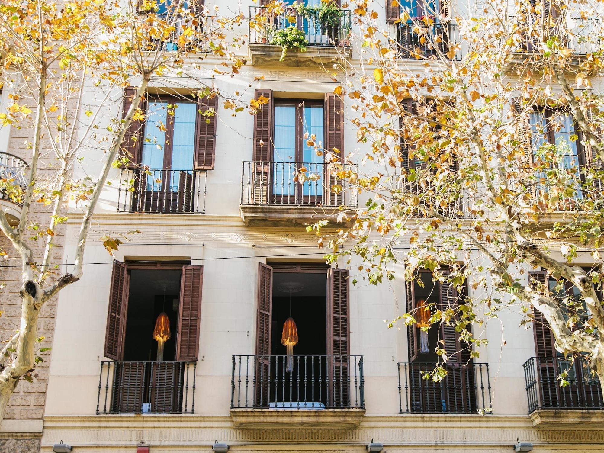 Zoorooms Boutique Gasthof Barcelona